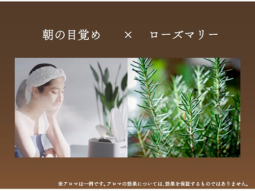 年末のプロモーション大特価! パナソニック スチーマー スチーマー