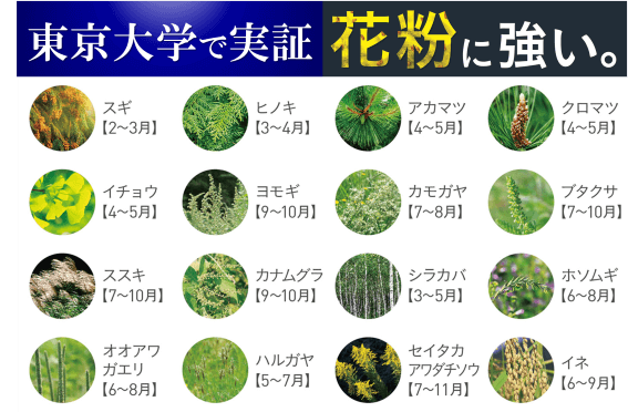 東京大学で実証花粉を無力化