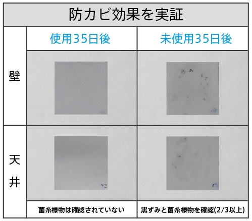 防カビ効果を実証