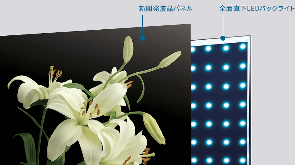 東芝 TOSHIBA REGZA (レグザ) 液晶テレビ 55V型 4Kチューナー内蔵 55M550K の通販 | カテゴリ：テレビ・レコーダー | 東芝  TOSHIBA 家電通販のコジマネット - 全品代引き手数料無料