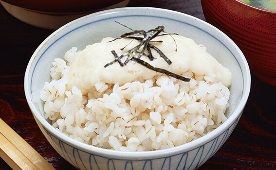 玄米コース／麦ご飯コース