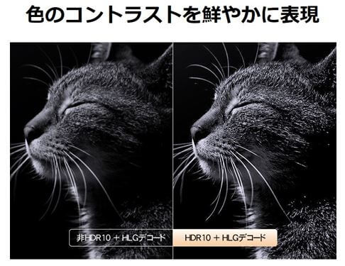 【色のコントラストを鮮やかに表現】