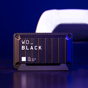 WESTERN DIGITAL 【アウトレット】外付けSSD USB-A接続 (PS5/PS4対応