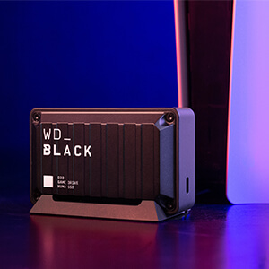 WESTERN DIGITAL 【アウトレット】外付けSSD USB-A接続 (PS5/PS4対応