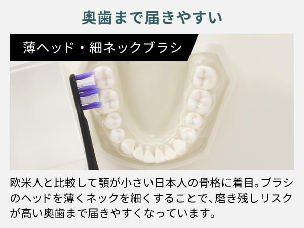 パナソニック Panasonic 【アウトレット】電動歯ブラシ Doltz