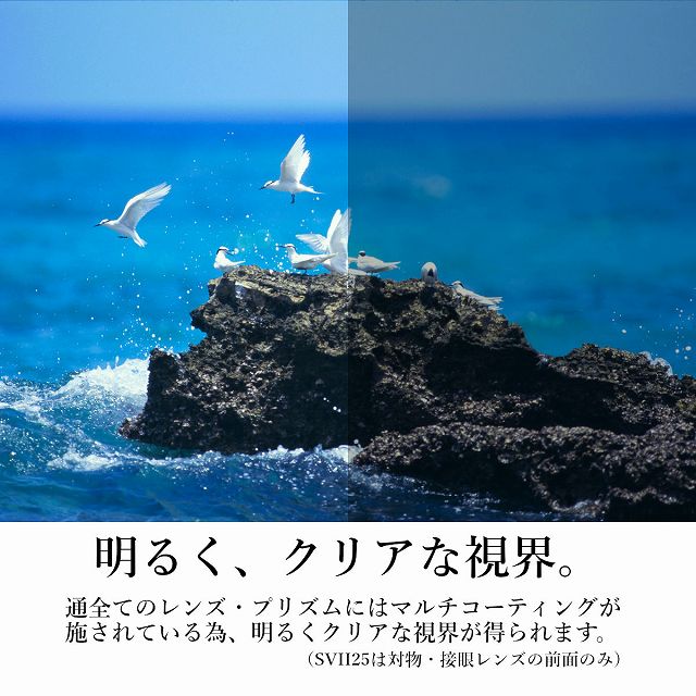 明るく、クリアな視界