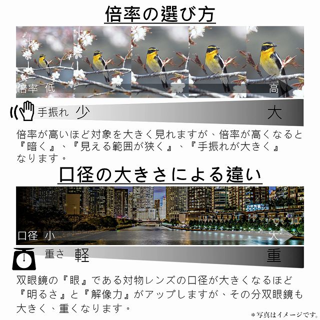 倍率の選びかた　口径の大きさによる違い