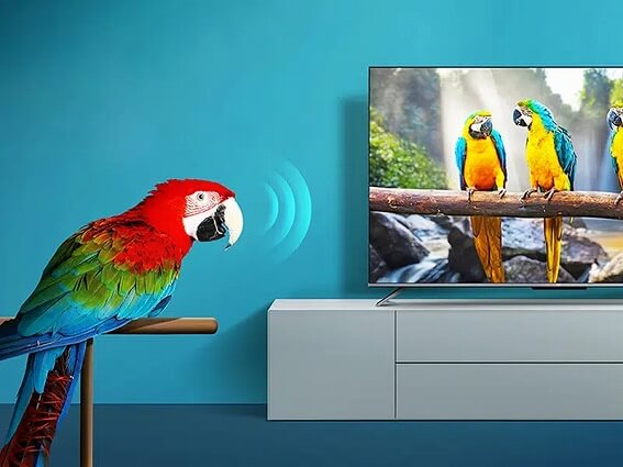 TCL 液晶テレビ ［50V型 /4K対応 /YouTube対応］ 50P745 の通販