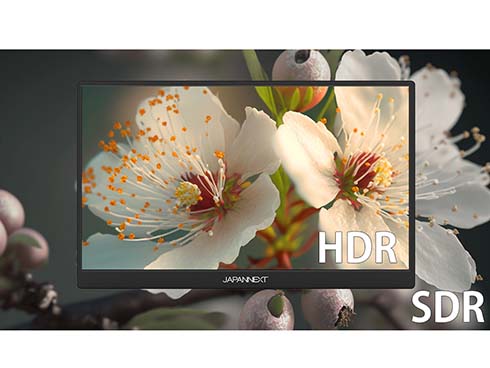 JAPANNEXT モバイルモニター USB TypeC miniHDMI［17.3型 /フルHD(1920