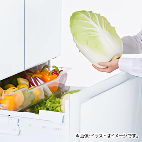 東芝 TOSHIBA 冷蔵庫 6ドア フレンチドア(観音開き) 509L GR-V510FH-EW