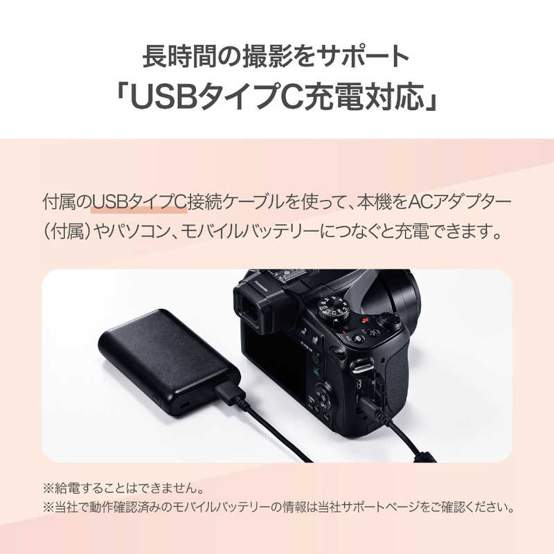 パナソニック Panasonic コンパクトデジタルカメラ LUMIX DC