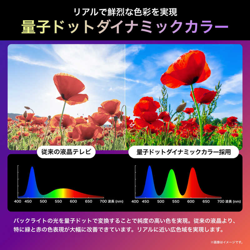 ハイセンス 65U9N 65V型 4K Mini LED量子ドット液晶テレビ Amazon.co.jp: ハイセンス 65V型 65U8N 4K Mini LED 量子ドット
