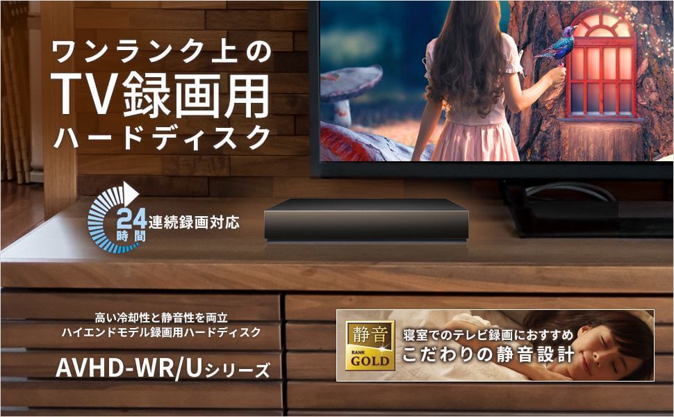 IOデータ 24時間連続録画対応ハイエンドモデル録画用外付けHDD ［3TB