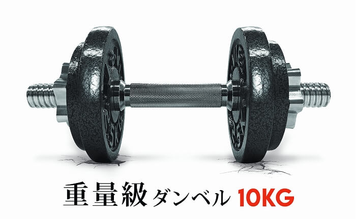 LAVIE 健康グッズ 重量級ダンベル 10kgセット 3B3490 の通販