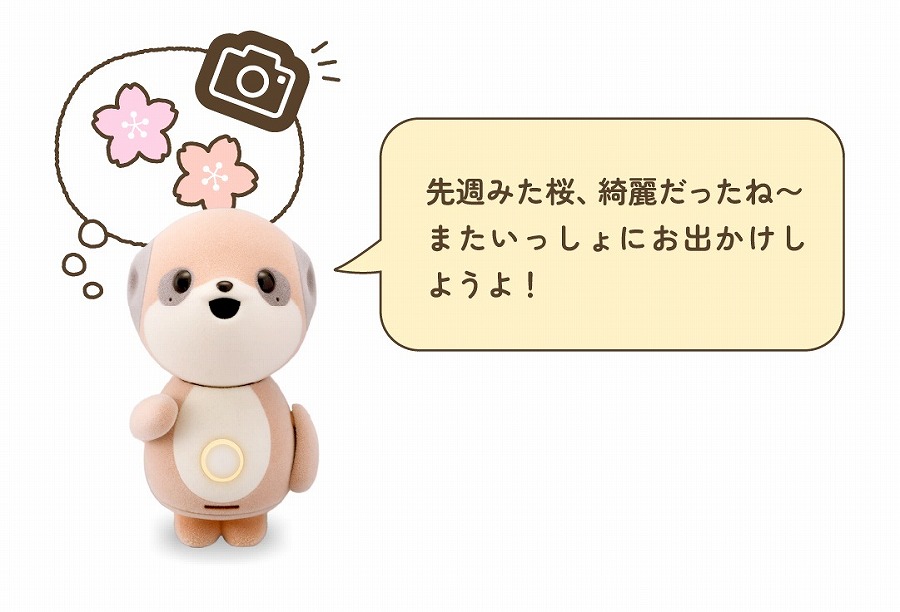 シャープ SHARP コンパニオンロボット ポケとも ホワイト SR-C01M-W の