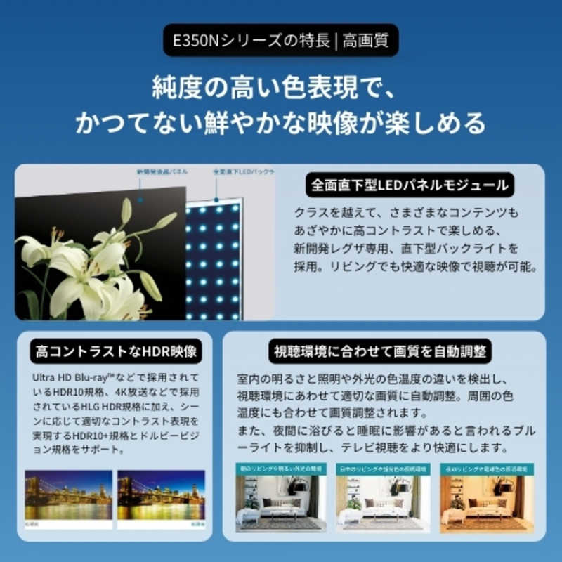 TVS REGZA 液晶テレビ REGZA レグザ E350Nシリーズ [ 85V型 / 4K