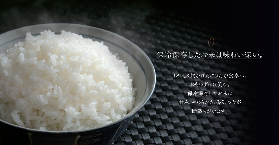 エムケー精工 保冷米びつ 11kg RICE COOL ライスクール
