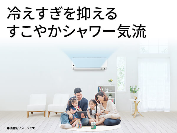 シャープ SHARP エアコン 2026年 DGシリーズ おもに6畳用【奥行き