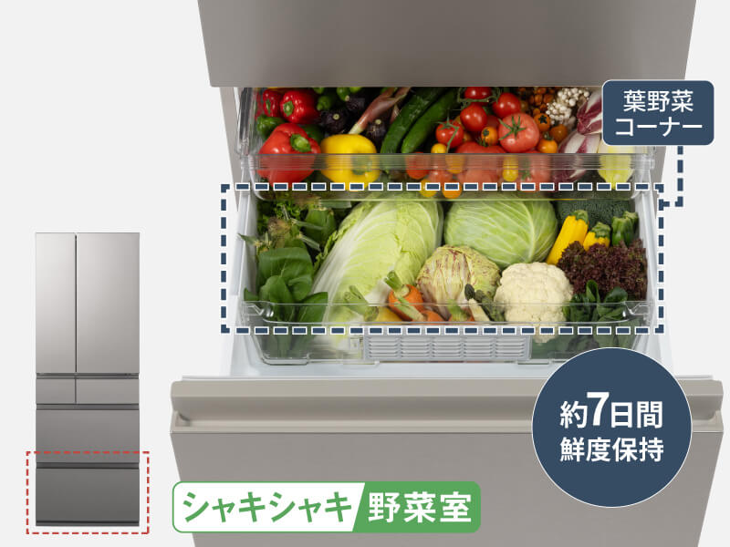 パナソニック Panasonic 冷蔵庫 6ドア 490L フレンチドア(観音開き) EY