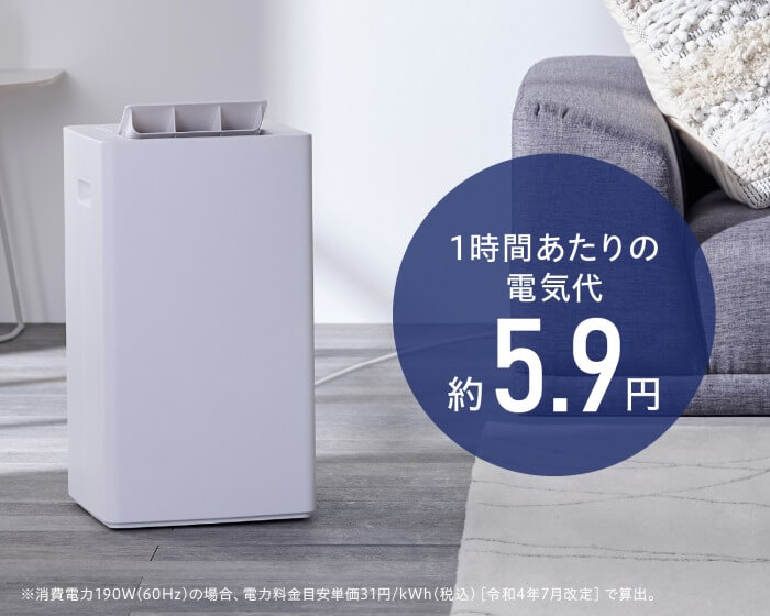 アイリスオーヤマ IRIS OHYAMA 衣類乾燥除湿機 コンプレッサー方式