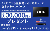 パナソニック 4Kビエラ＆全自動ディーガセットでおトクキャンペーン