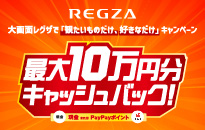 レグザ TVS REGZA 2024年冬レグザキャッシュバックキャンペーン