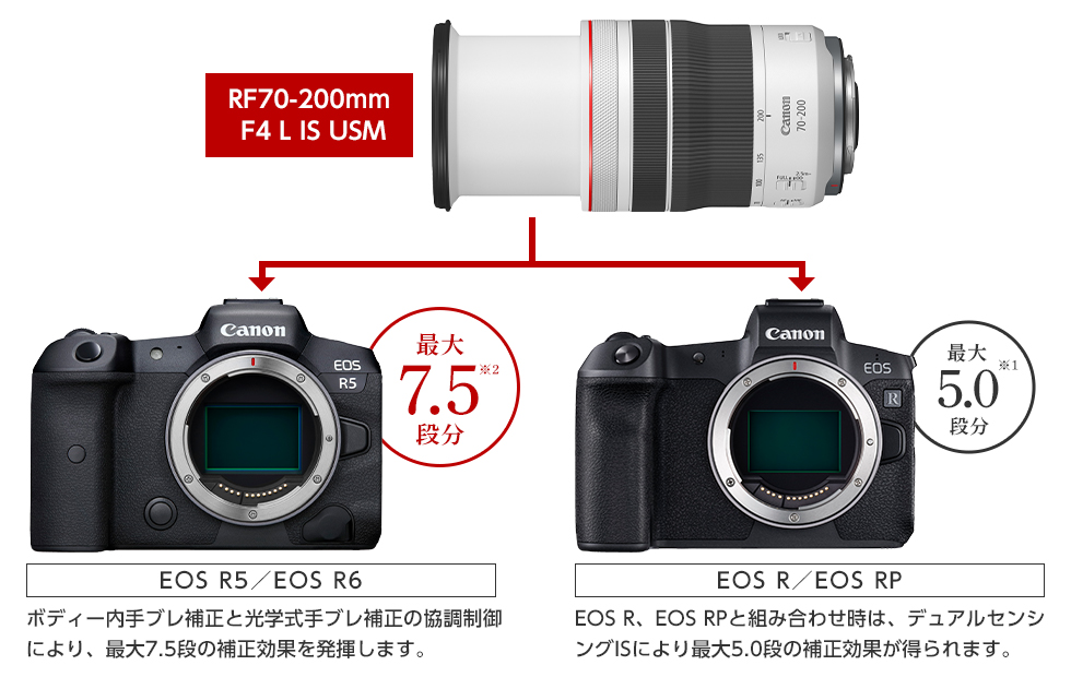 キヤノン CANON カメラレンズ RF70-200mm F4 L IS USM ［ キヤノンRF
