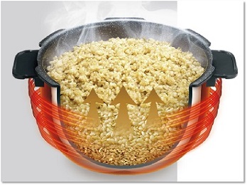 CUCKOOELECTRONICS 玄米発芽炊飯器 6合 発芽マイスター STANDARD