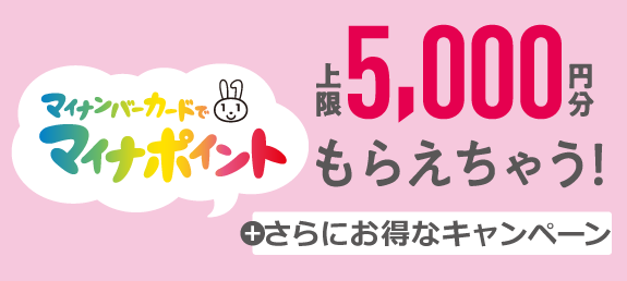 コジマ ビックカメラ 厚木栄町店 くらし応援コジマ コジマ ビックカメラ 厚木栄町店 くらし応援コジマ
