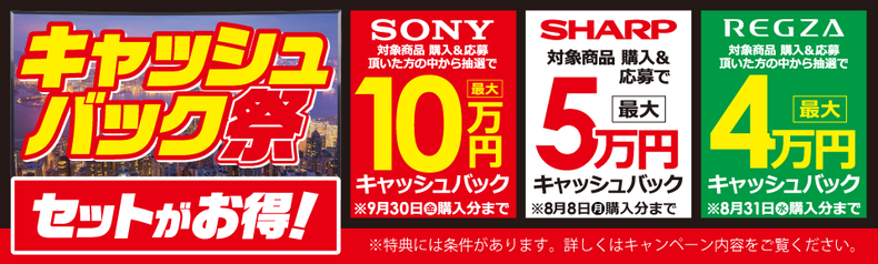 最大300円OFFクーポン 家電リサイクル券 15型以下 Dタイプ ※テレビあんしん