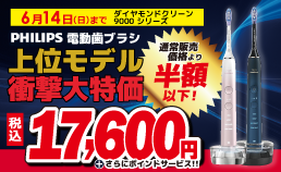電動歯ブラシが大特価