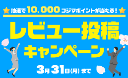 レビュー投稿キャンペーン