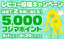 レビュー投稿キャンペーン