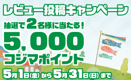 レビュー投稿キャンペーン