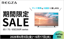 REGZAが期間限定特価