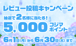 レビュー投稿キャンペーン