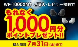 ソニーイヤホン レビューキャンペーン