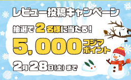 レビュー投稿キャンペーン