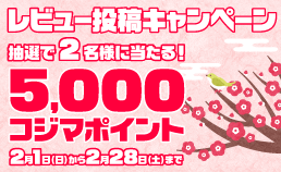 レビュー投稿キャンペーン