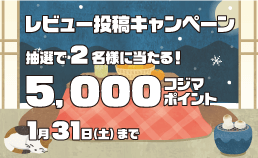 レビュー投稿キャンペーン