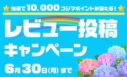 レビュー投稿キャンペーン
