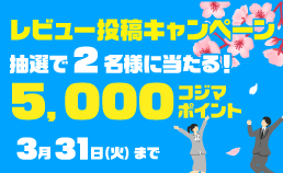 レビュー投稿キャンペーン