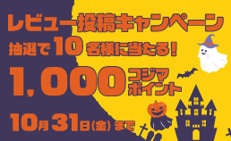 レビュー投稿キャンペーン