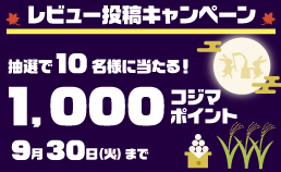 レビュー投稿キャンペーン