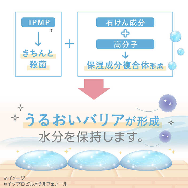 LION LION キレイキレイ 薬用ハンドコンディショニングソープ あたたかな木漏れ日の香り シトラス＆ラベンダー 本体 450mL  