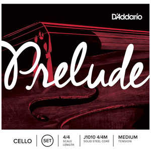 DADDARIO ꥪ  J1010 4/4M