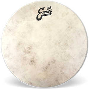 ドラムヘッド EVANS TT16C7 ドラムヘッド EVANS TT16C7