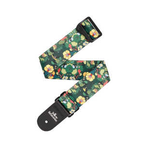 PLANETWAVES �ӡ��ȥ륺 �����������֥ޥ��55��ǯ ���������ȥ�å� 50BYS03