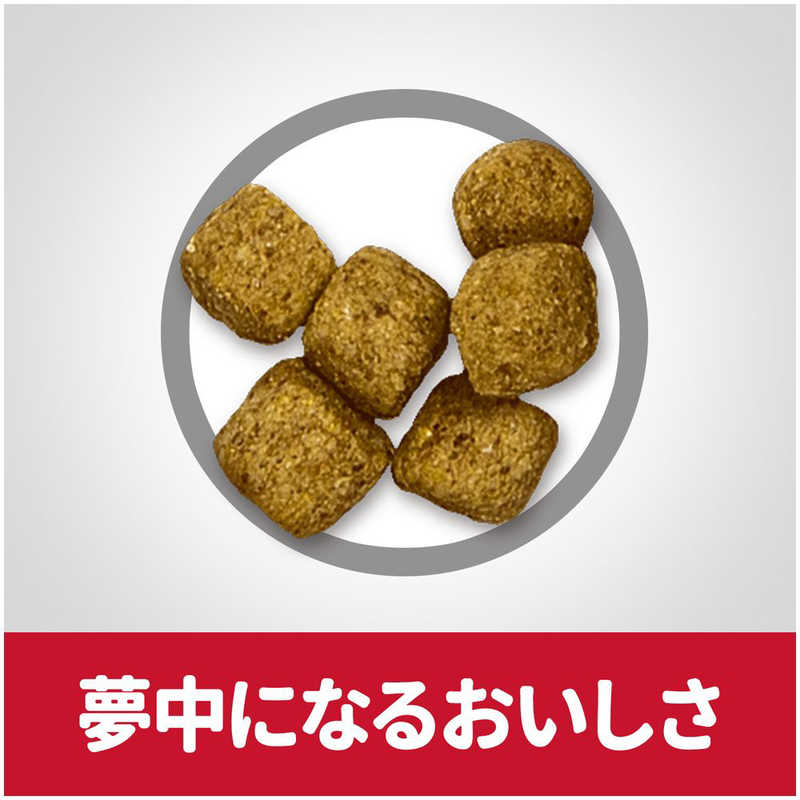 日本ヒルズコルゲート 日本ヒルズコルゲート SDシニアライト小粒肥満傾向の高齢犬用7歳以上3.3kg  