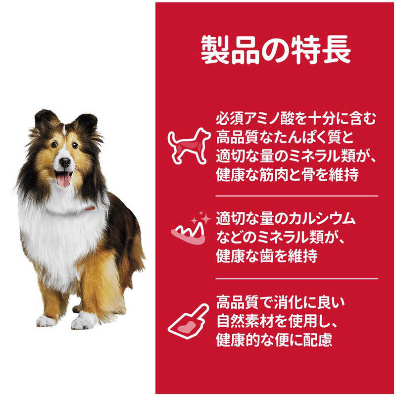 日本ヒルズコルゲート 日本ヒルズコルゲート サイエンス・ダイエットアダルト成犬用１歳～６歳６．５ｋｇ  